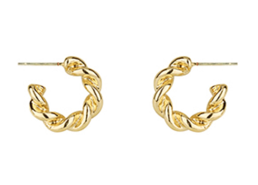 Evan earring