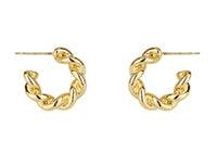 Evan earring
