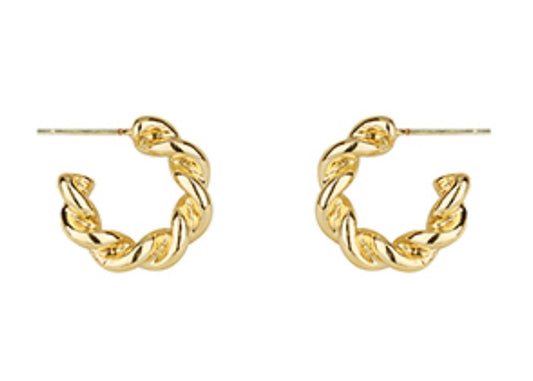 Evan earring